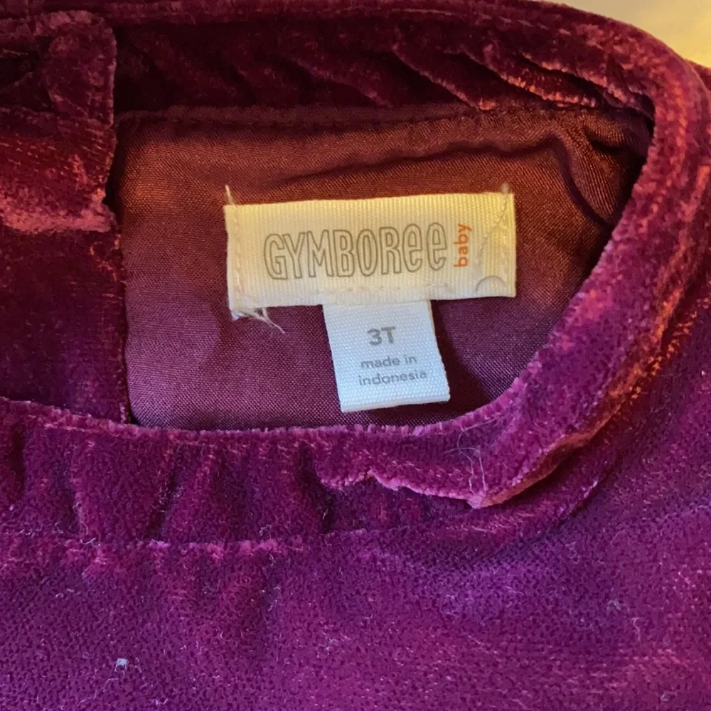 Gymboree adorable velvety